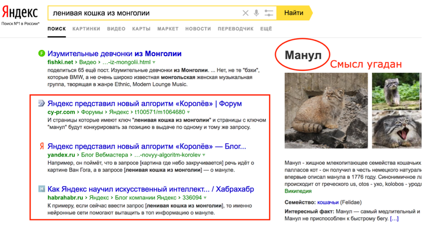 Текущая выдача Яндекса