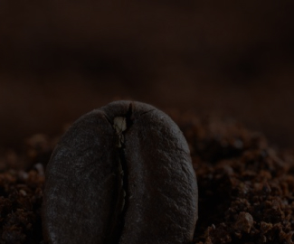 Реализация вертикального слайдера в карточке товара coffeecup.ru