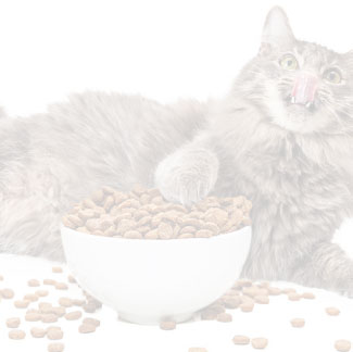 Настройка подписки на уведомления о поступлении отсутствующих товаров на сайте