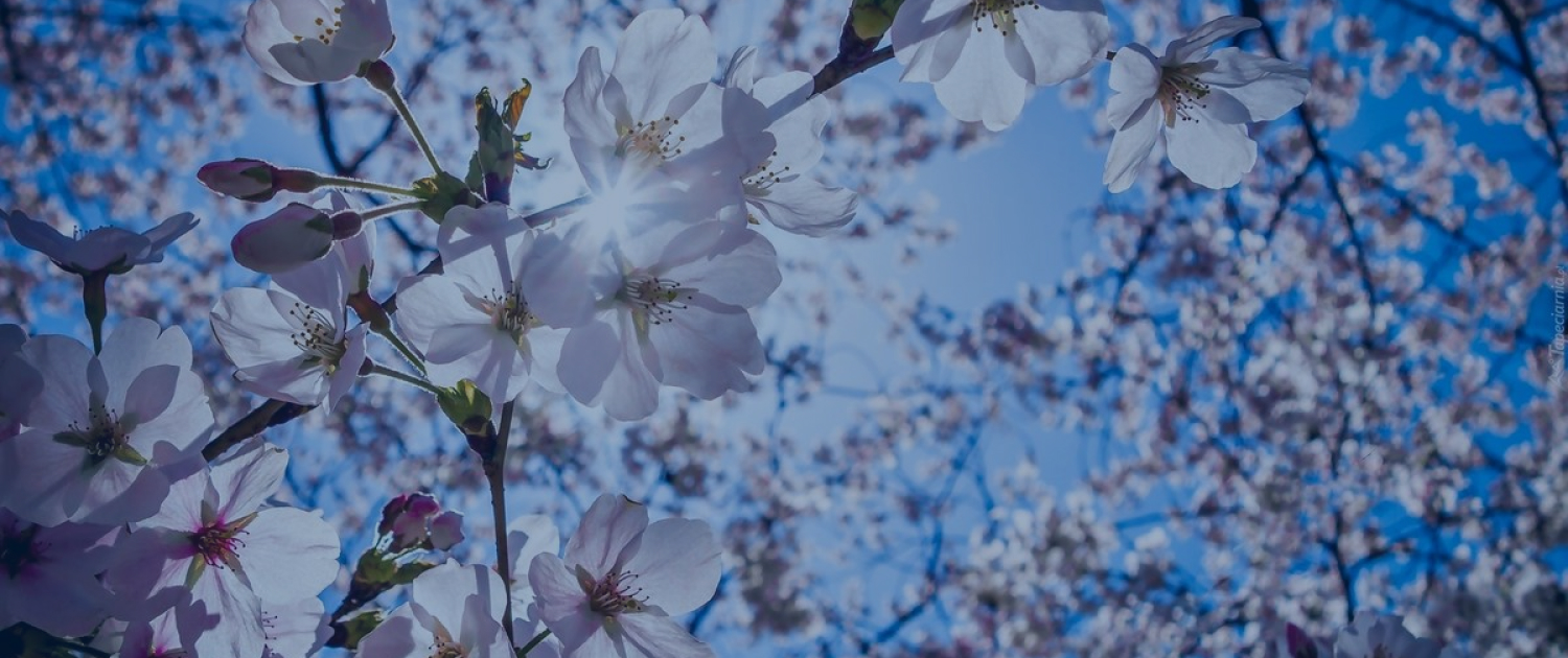 Пансионаты для пожилых людей «Валентина»