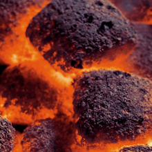 Интернет-магазин «WHOGRILL»