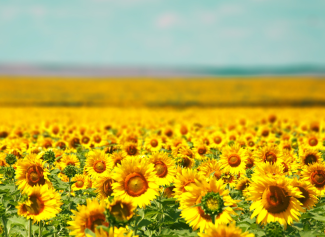 Создание страницы Лица ГК «Благо» в разделе Карьера