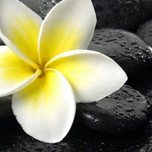 Студия красоты «EVITA»