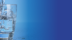 ООО «Гарда»