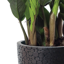 Компания «Nobilis Marco»