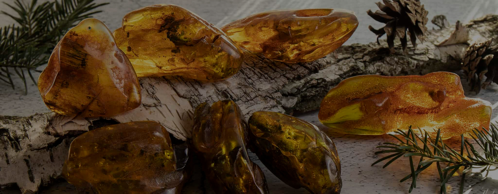 Компания «AMBERIKA»