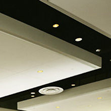 Компания «Platinum»