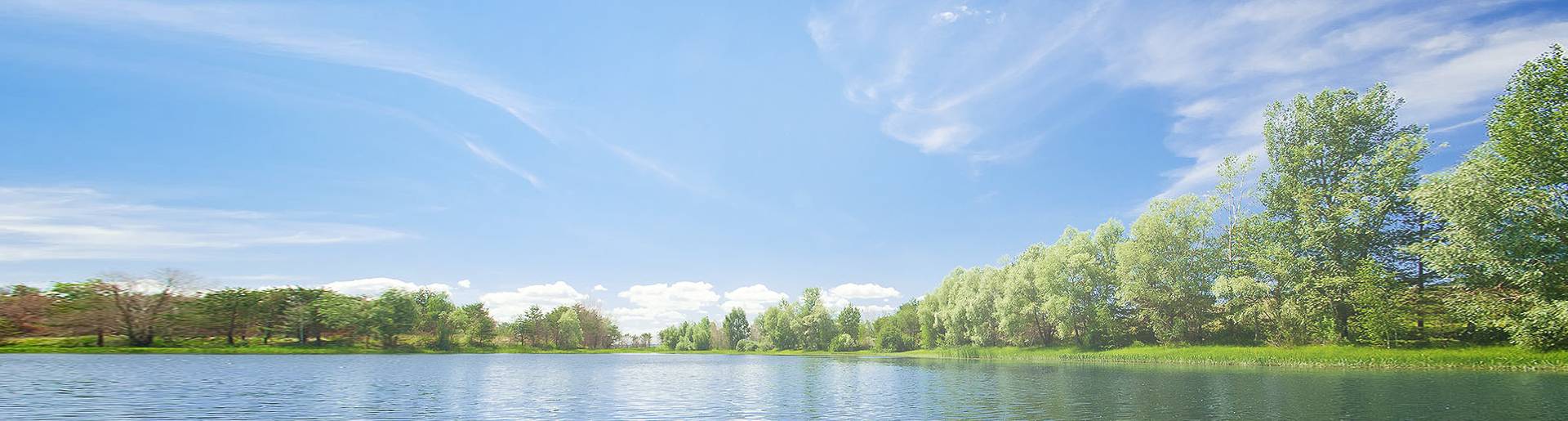 Компания «IstraCottage»