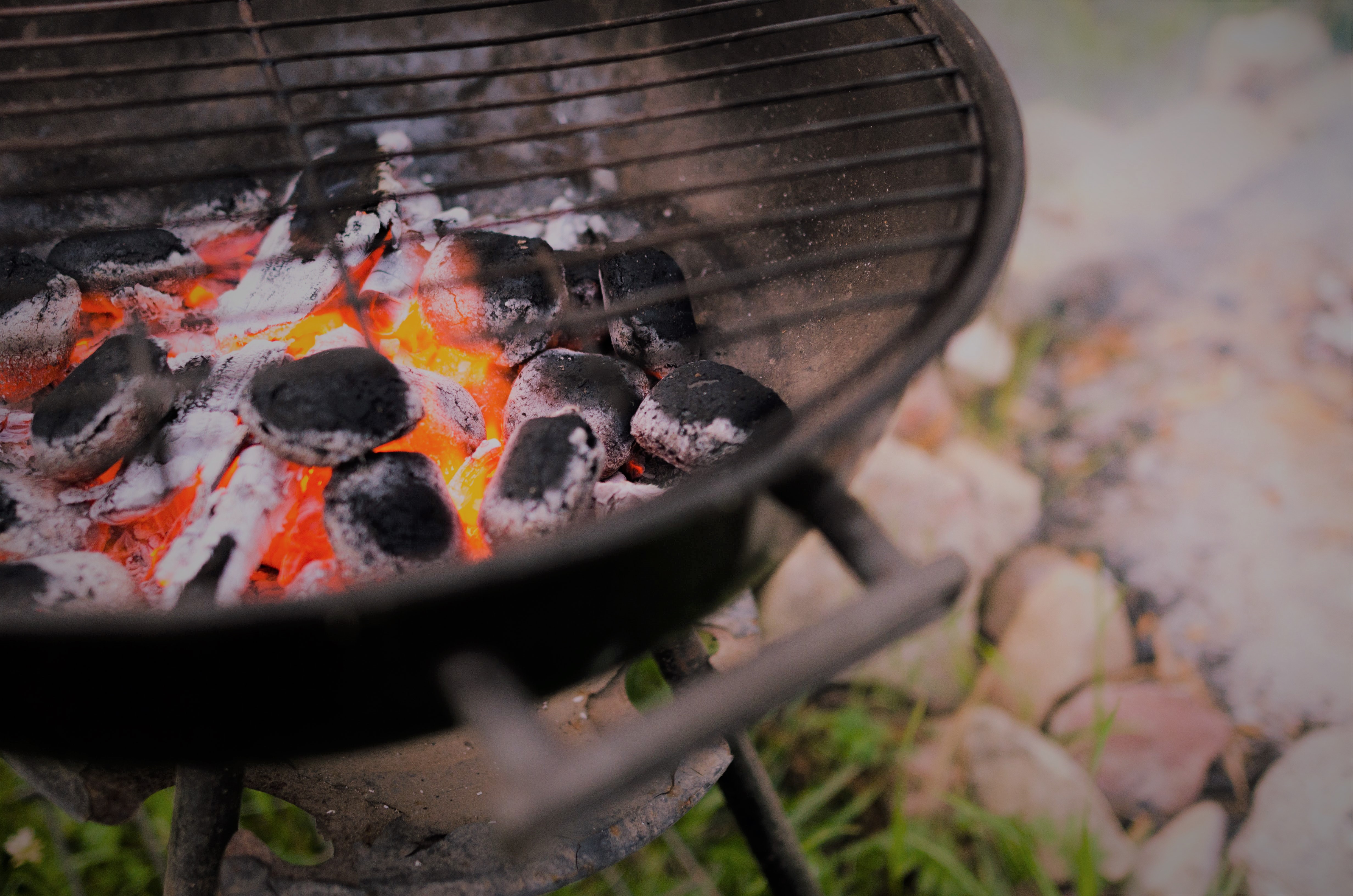 Компания «ГК «Краснинские сады»