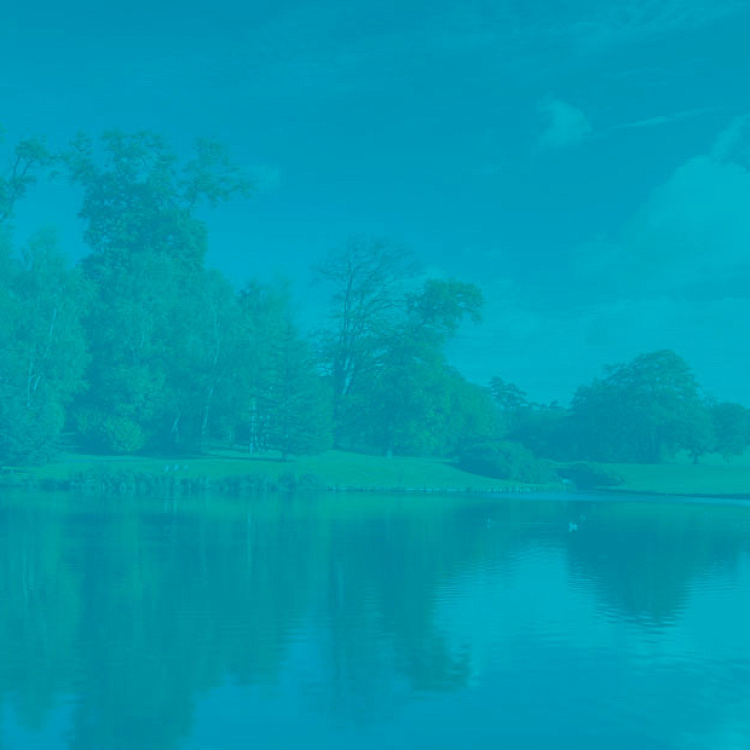 Частный пансионат для престарелых «Центр Домашней Заботы»