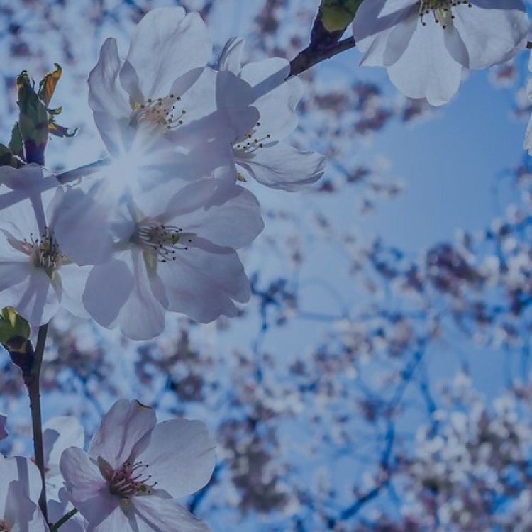 Пансионаты для пожилых людей «Валентина»