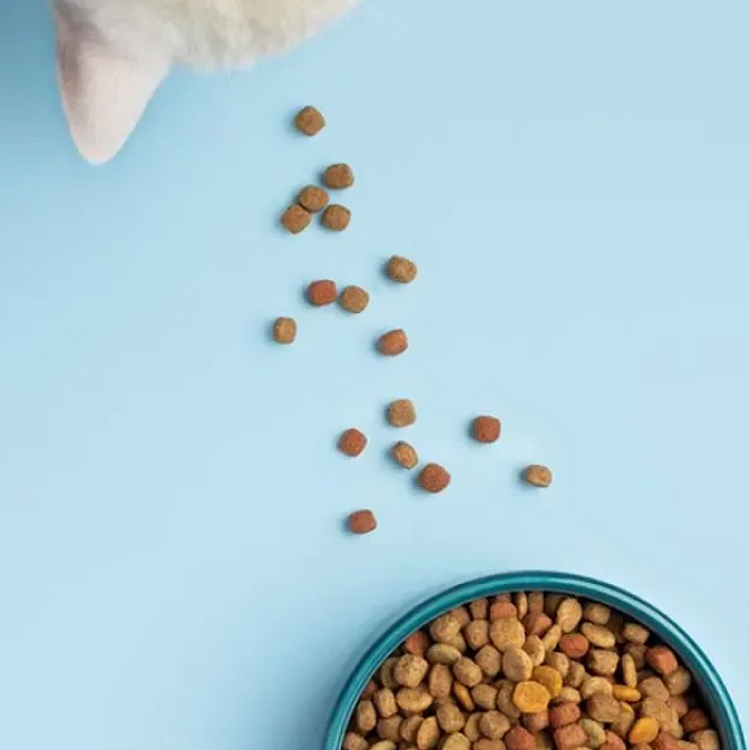 Норма Корма