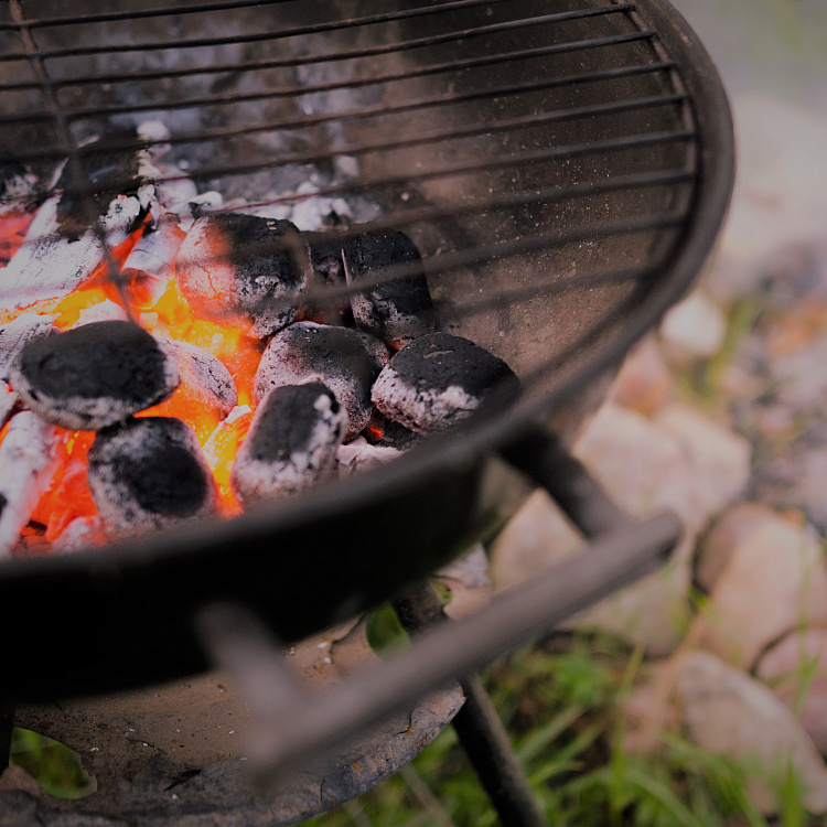 Компания «ГК «Краснинские сады»