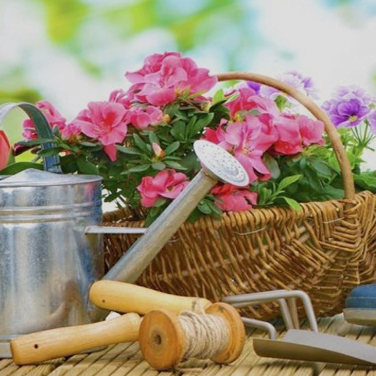 Интернет-магазин «Online.semenasad.ru»