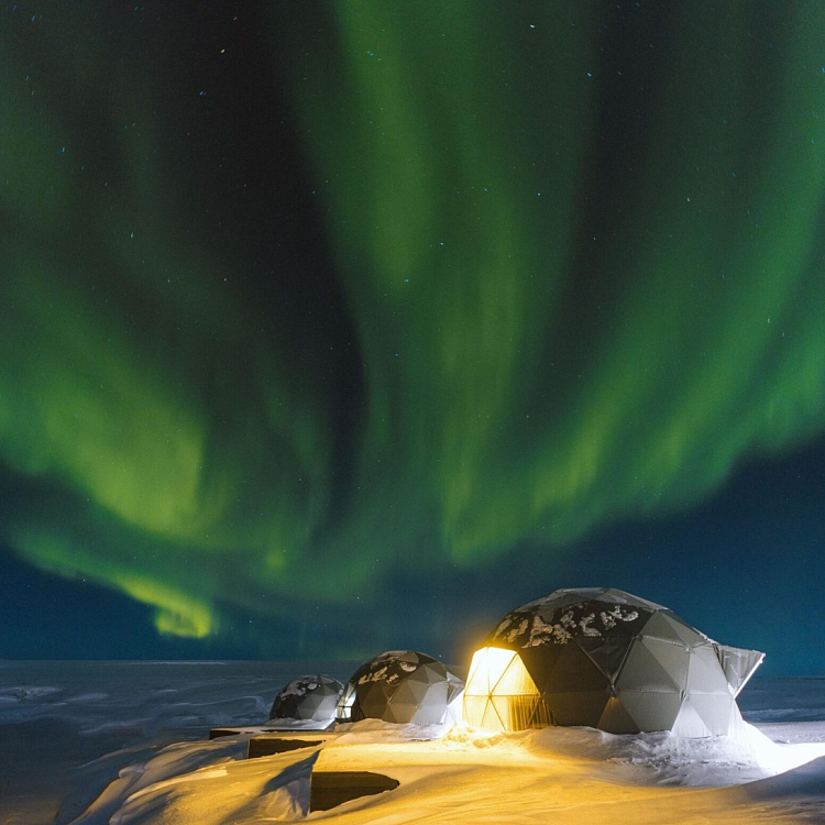 Панарктик Стар