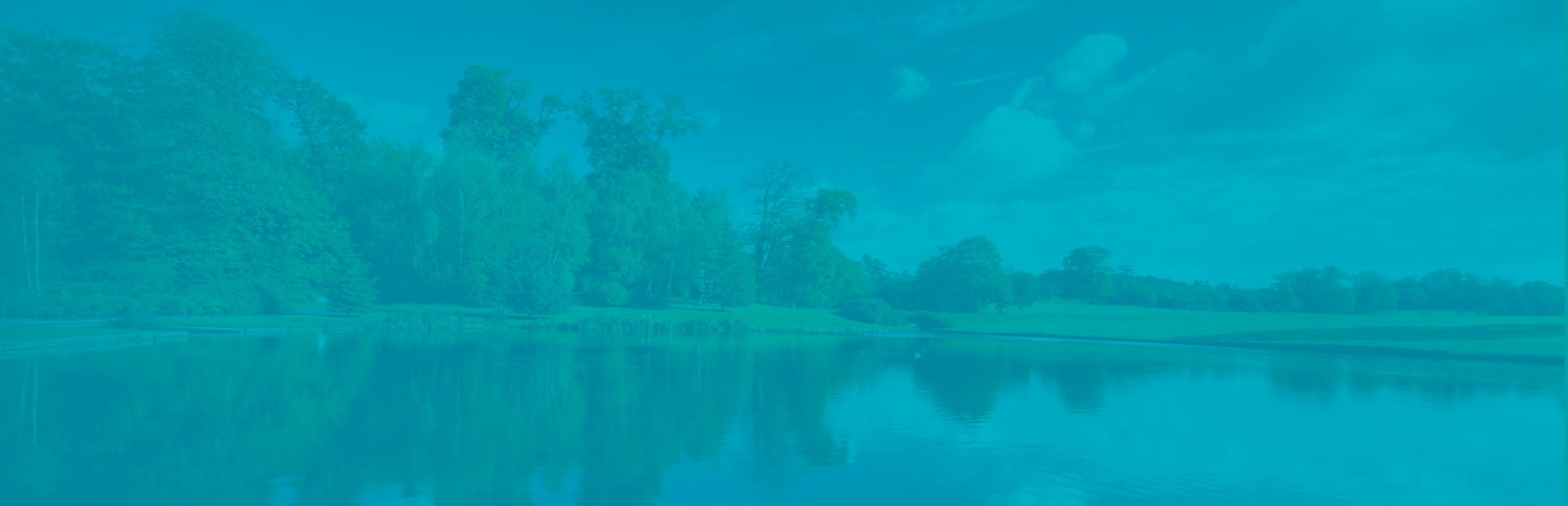 Частный пансионат для престарелых «Центр Домашней Заботы»