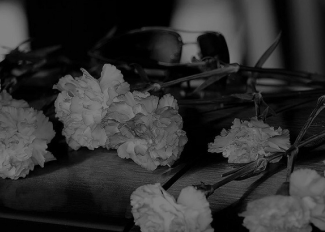 Создание личного кабинета, корзины, форм обратной связи