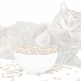 Настройка подписки на уведомления о поступлении отсутствующих товаров на сайте