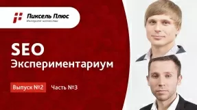 Видео SEO-Экспериментариум с Дмитрием Севальневым (Выпуск № 2 часть 3)