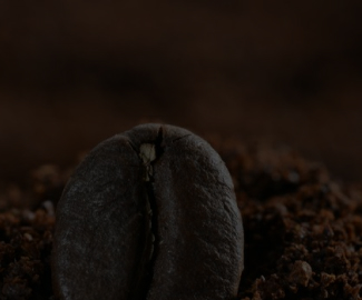 Реализация переключения слайдов при наведении мышкой на сайте coffeecup.ru