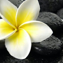 Студия красоты «EVITA»