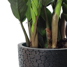 Компания «Nobilis Marco»