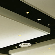 Компания «Platinum»