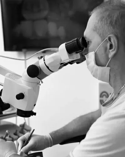 Внедрение микроразметки на сайт на Tilda