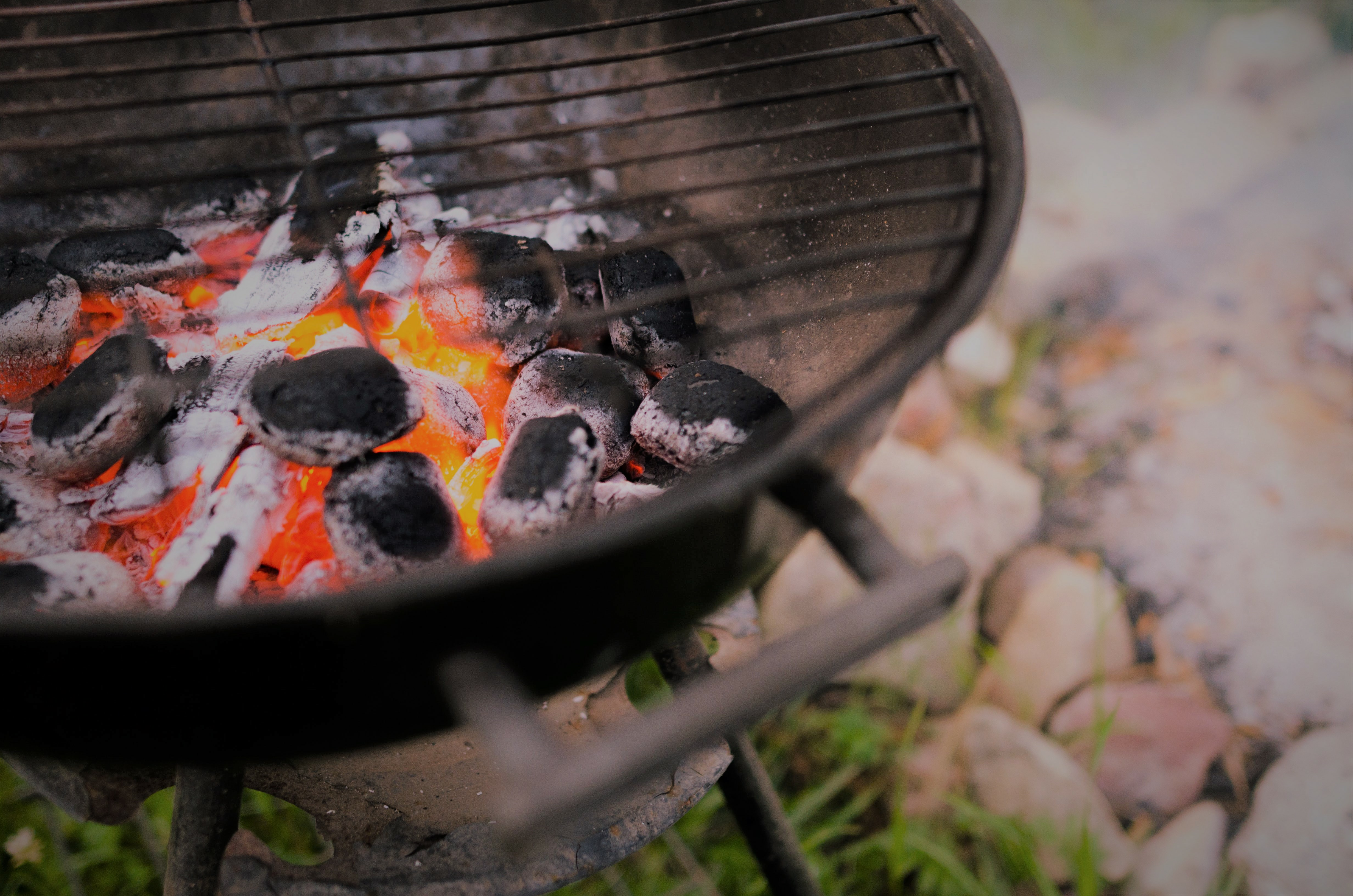 Компания «ГК «Краснинские сады»