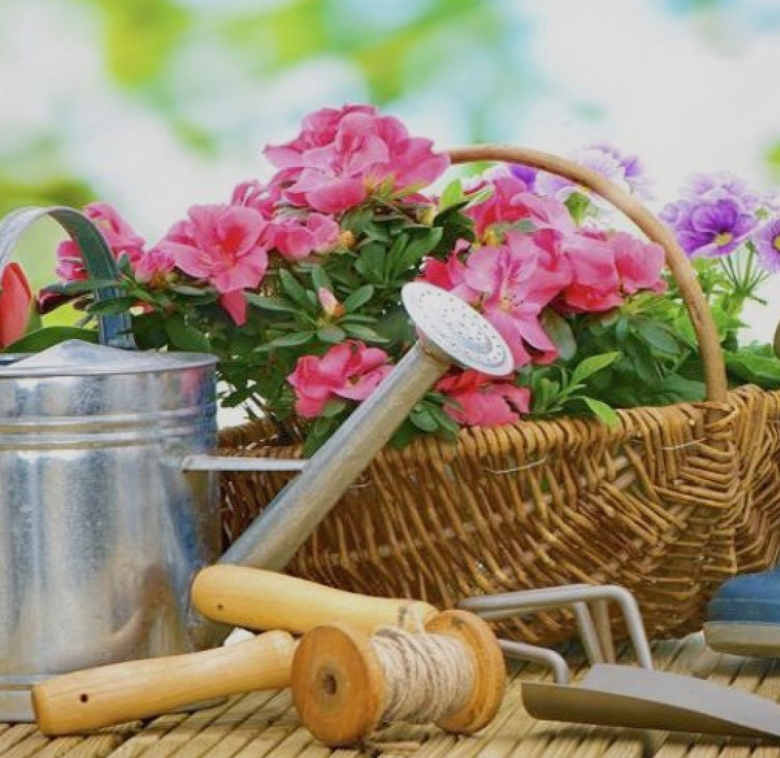 Интернет-магазин «Online.semenasad.ru»