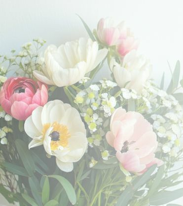 Краснодар флора