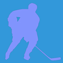 Фонд поддержки национального спорта, культуры и образования