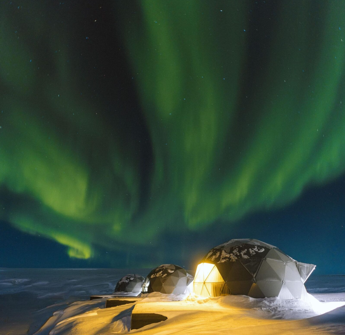 Панарктик Стар